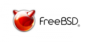 free BSD сервер